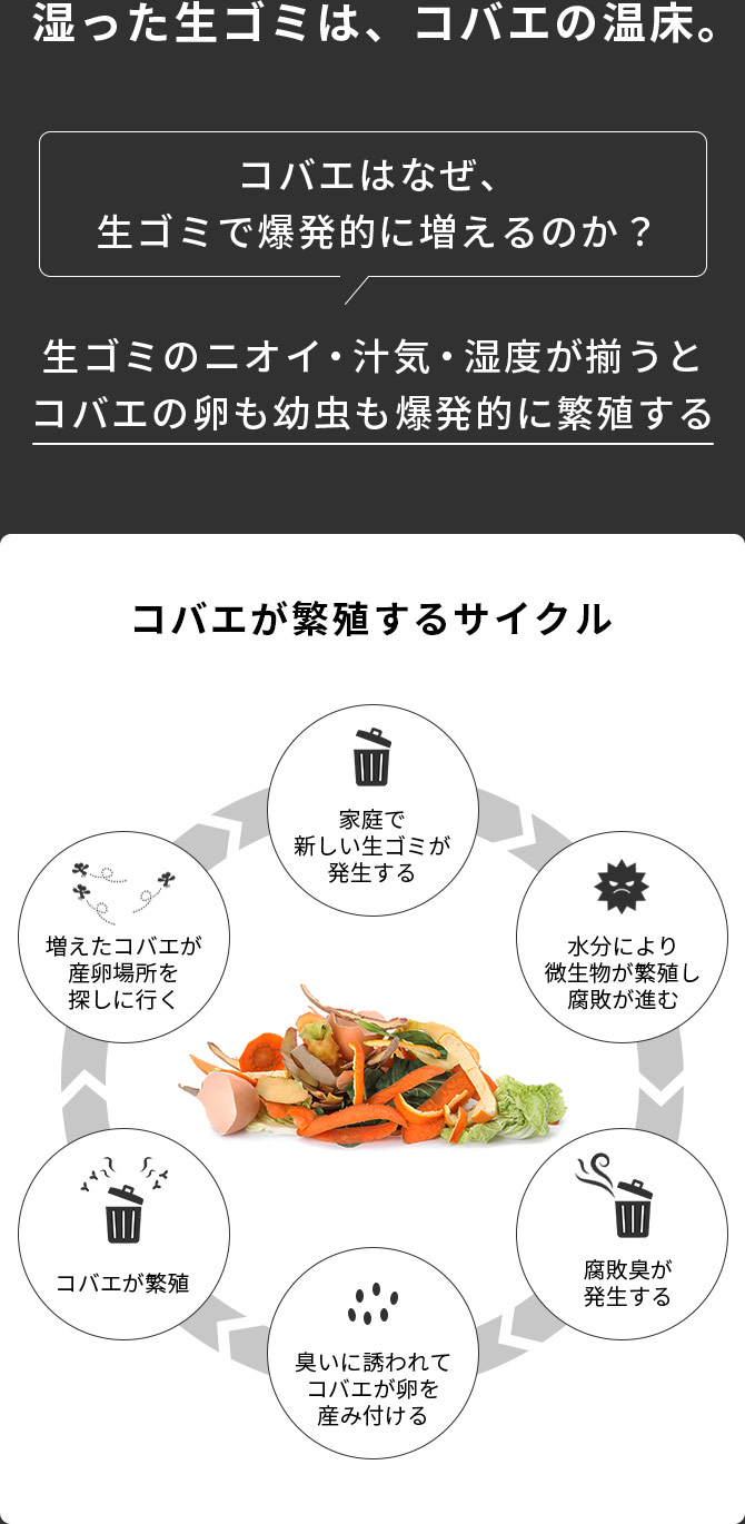 超激安‼️開封しただけ ほぼ新品！　Ioofen 生ゴミ処理機 予備付き。 loofen(ルーフェン)公式通販サイト｜日本売上No.1・世界130万台